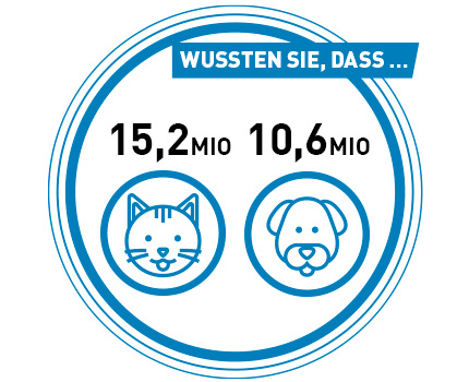 15,2 Mio Katzen und 10,6 Mio Hunde leben in Deutschland.